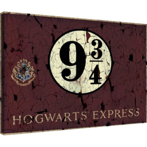 Harry Potter - Hogwart's Express Tablou Canvas, (60 x 80 cm)