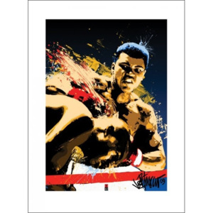 Muhammad Ali - Sting Reproducere, (60 x 80 cm)