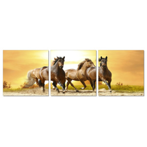 Horses - Running Horses on the Sand Tablou, (180 x 60 cm)