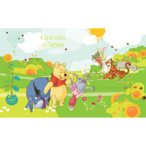 Disney Winnie Pooh Eeyore Piglet Tigger Fototapet, (416 x 254 cm)