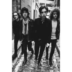 Catfish and the Bottlemen - Band Poster, (61 x 91,5 cm)