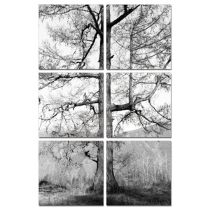 Gray tree Tablou, (100 x 150 cm)