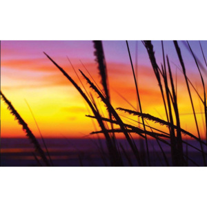 Beach Sunset Fototapet, (250 x 104 cm)