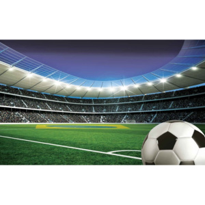 Football Stadium Sport Fototapet, (368 x 254 cm)