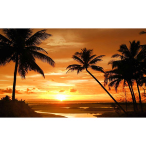 Beach Tropical Sunset Palms Fototapet, (368 x 254 cm)