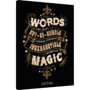 Harry Potter - Words Tablou Canvas, (60 x 80 cm)