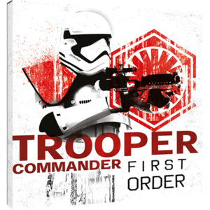 Star Wars The Last Jedi - Tooper Commander First Order Tablou Canvas, (40 x 40 cm)