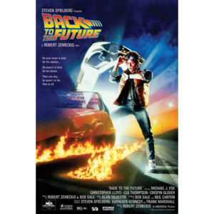 BACK TO THE FUTURE Poster, (61 x 91 cm)