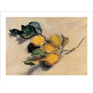 Branch from a Lemon Tree Reproducere, Claude Monet, (30 x 24 cm)