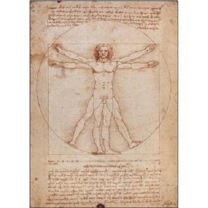 Vitruvian Man Reproducere, Leonardo Da Vinci, (60 x 80 cm)