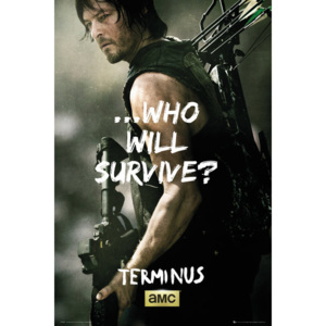 The Walking Dead - Daryl Survive Poster, (61 x 91,5 cm)