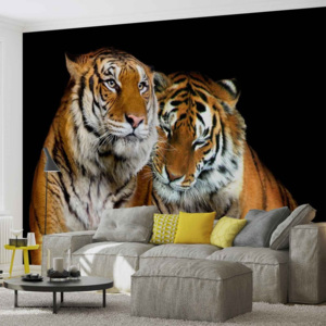 Tigers Fototapet, (152.5 x 104 cm)
