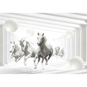 Horses White Spheres Fototapet, (312 x 219 cm)