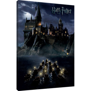 Harry Potter - Hogwarts School Tablou Canvas, (60 x 80 cm)