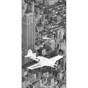 Hawks airplane in flight over New York city, 1938 Reproducere, (100 x 50 cm)