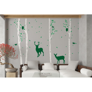 Birch grove - autocolant de perete Verde + trunchi alb 330 x 230 cm