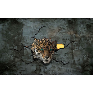 Leopard 3D Fototapet, (312 x 219 cm)