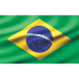 Flag Brasil Fototapet, (368 x 254 cm)