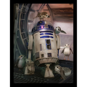 Star Wars The Last Jedi - R2-D2 & Porgs Afiș înrămat
