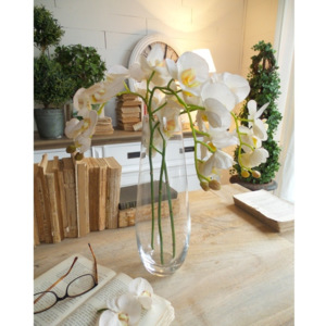 Vază din sticlă Orchidea Milano, 11 x 30 cm