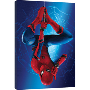 Spider-Man Homecoming - Hang Tablou Canvas, (60 x 80 cm)