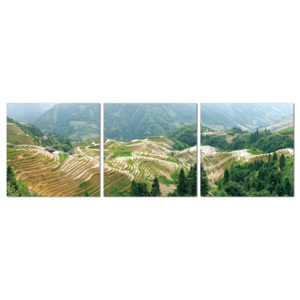 Terraced plantations Tablou, (150 x 50 cm)