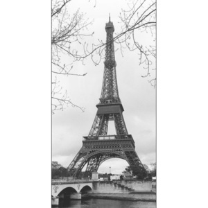 Paris - Eiffel tower Reproducere, MANUELA HOEFER, (50 x 100 cm)