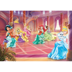 Disney Princesses Cinderella Jasmine Fototapet, (368 x 254 cm)