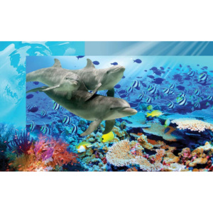 Dolphins Tropical Fish Fototapet, (250 x 104 cm)