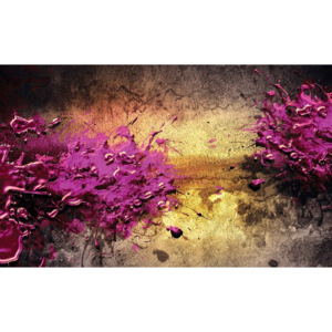 Colour Splash Abstract Fototapet, (368 x 254 cm)