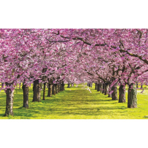 Flowering Trees Fototapet, (254 x 184 cm)