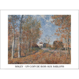 Edge of the Forest in Sablons Reproducere, Sisley, (80 x 60 cm)