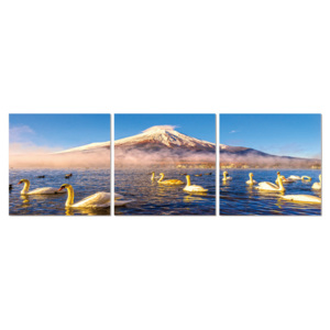 Swans on the lake Tablou, (120 x 40 cm)