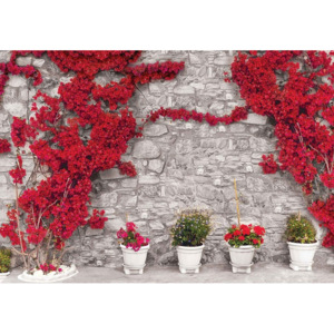 Red Flowers Stone Wall Fototapet, (312 x 219 cm)