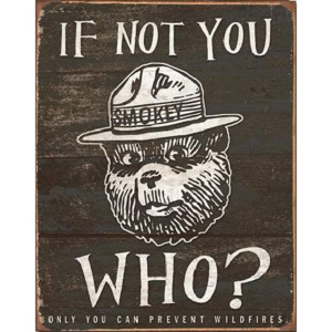 SMOKEY BEAR - If Not You Placă metalică, (31,5 x 40 cm)