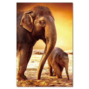 Elephants - Mom and Baby Tablou, (80 x 120 cm)