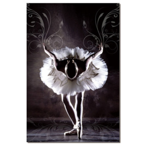 Black & White Ballerina Tablou, (80 x 120 cm)