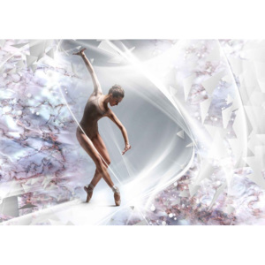 Dancer Abstract Fototapet, (416 x 254 cm)