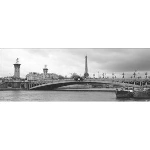 Paris - Pont Alexandre-III and Eiffel tower Reproducere, MURAT TANER, (100 x 35 cm)