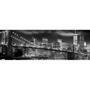 New York - Freedom Tower (B&W) Poster, (158 x 53 cm)