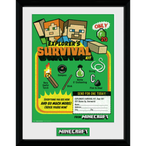 Minecraft - Survival Kit Afiș înrămat