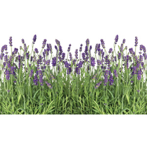 Flowers Lavender Fototapet, (211 x 90 cm)