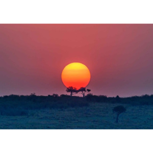 Equatorial Sunset Fototapet, (254 x 184 cm)