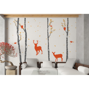 Birch grove - autocolant de perete Portocaliu + trib gri 330 x 230 cm