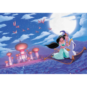 Disney Princesses Jasmine Aladdin Fototapet, (416 x 254 cm)