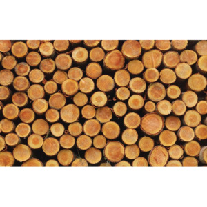 Wood Texture Logs Nature Fototapet, (184 x 254 cm)