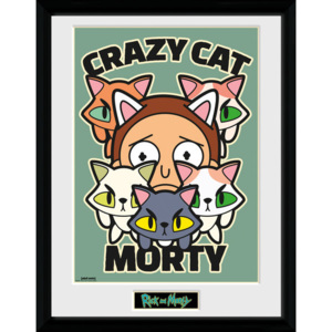 Rick and Morty - Crazy Cat Morty Afiș înrămat