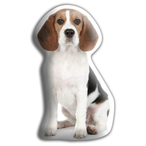 Pernă cu imprimeu Adorable Cushions Beagle