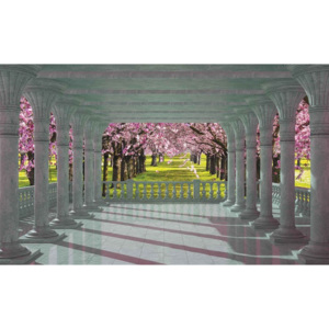 Cherry Trees through The Arches Fototapet, (416 x 254 cm)
