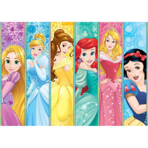 Disney Princesses Aurora Belle Ariel Fototapet, (208 x 146 cm)